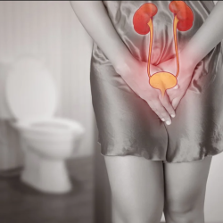 Captura de tela 2024-10-04 152345